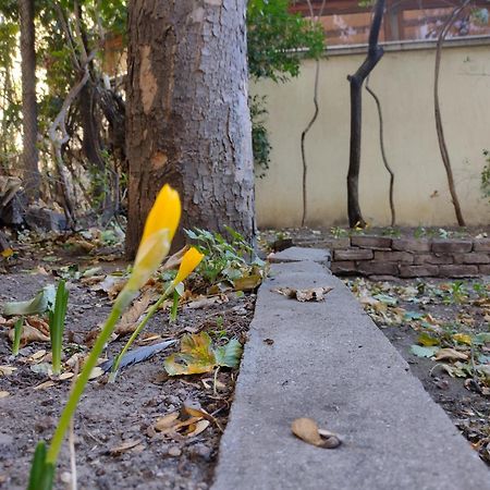 Charming Central Home With Garden Near Parking And Ndk ソフィア エクステリア 写真