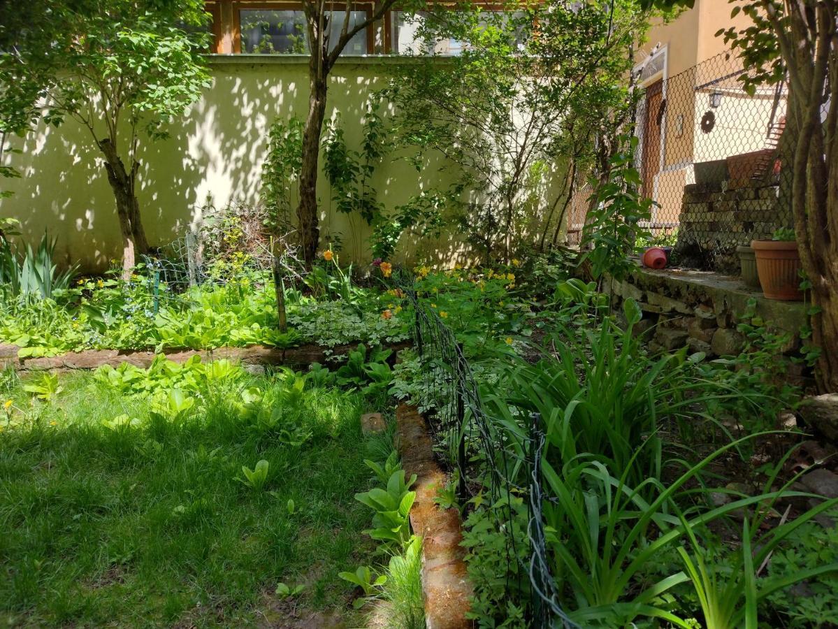 Charming Central Home With Garden Near Parking And Ndk ソフィア エクステリア 写真