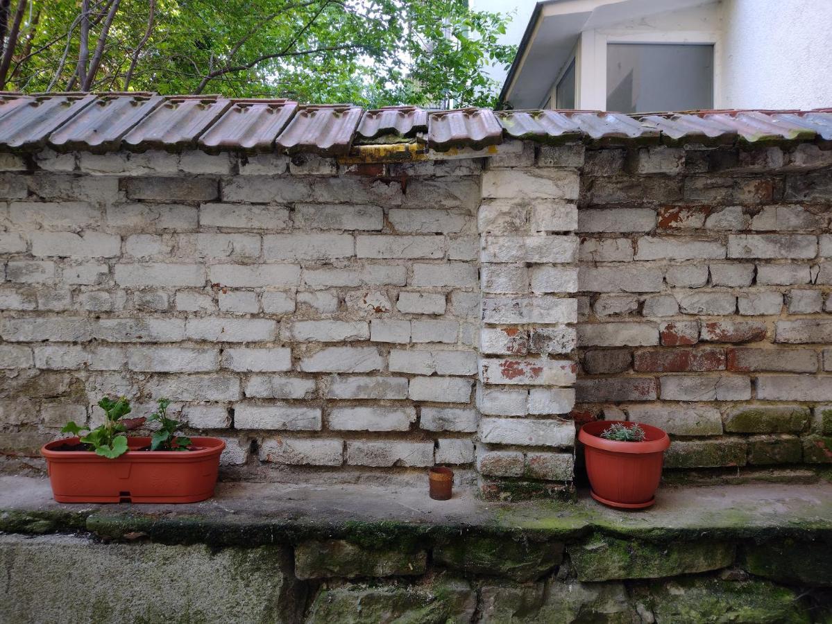 Charming Central Home With Garden Near Parking And Ndk ソフィア エクステリア 写真