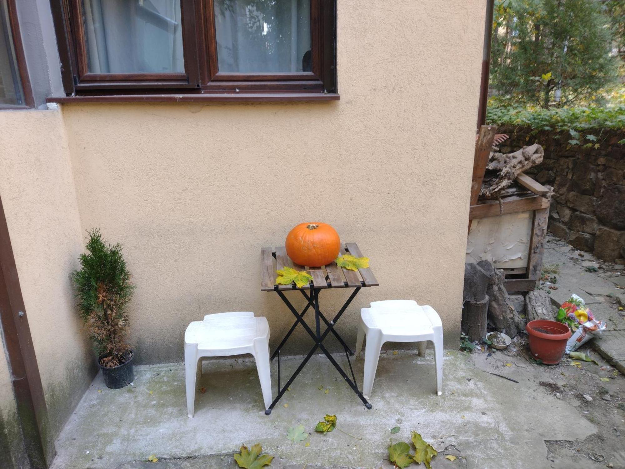 Charming Central Home With Garden Near Parking And Ndk ソフィア エクステリア 写真