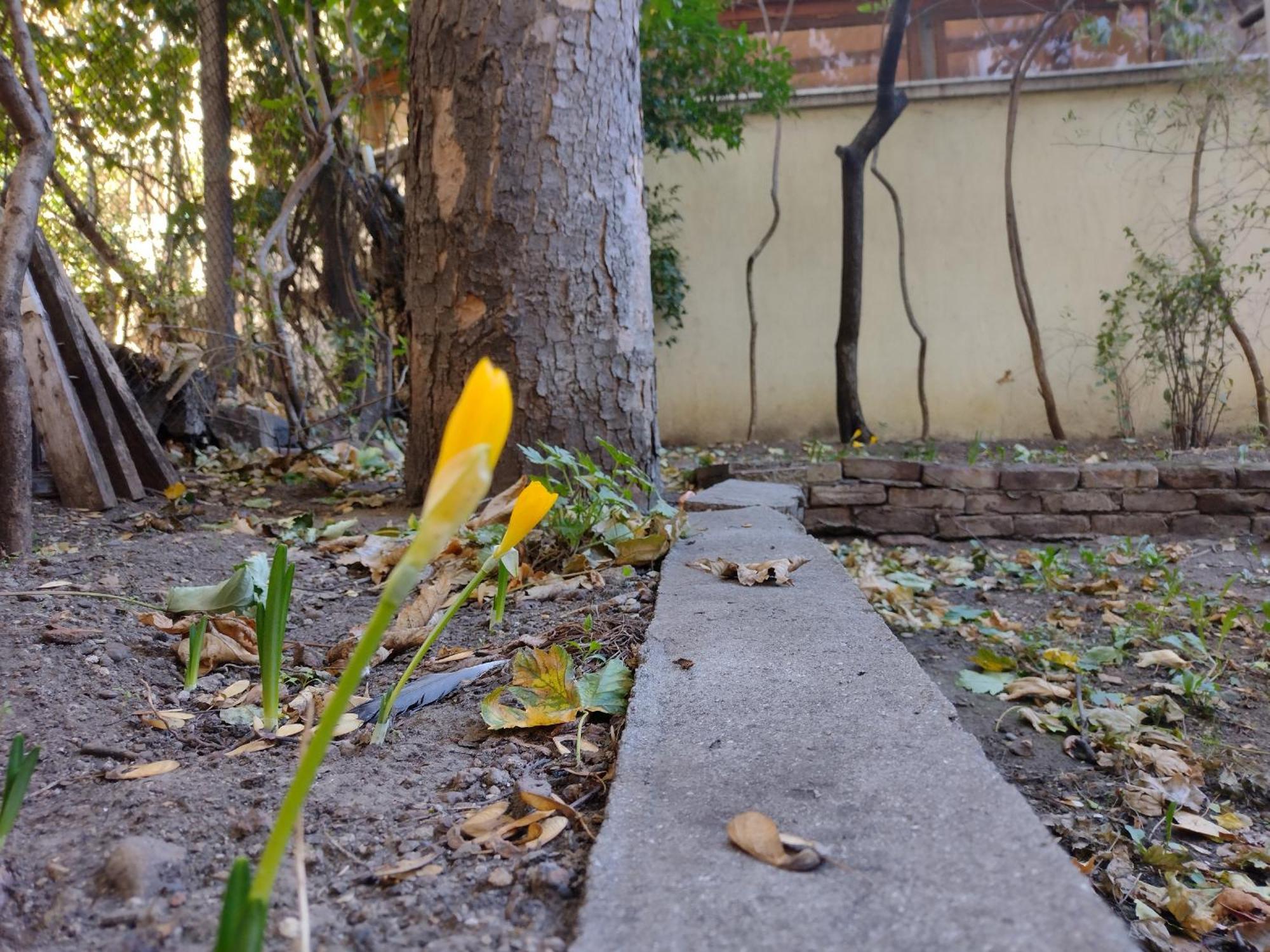 Charming Central Home With Garden Near Parking And Ndk ソフィア エクステリア 写真