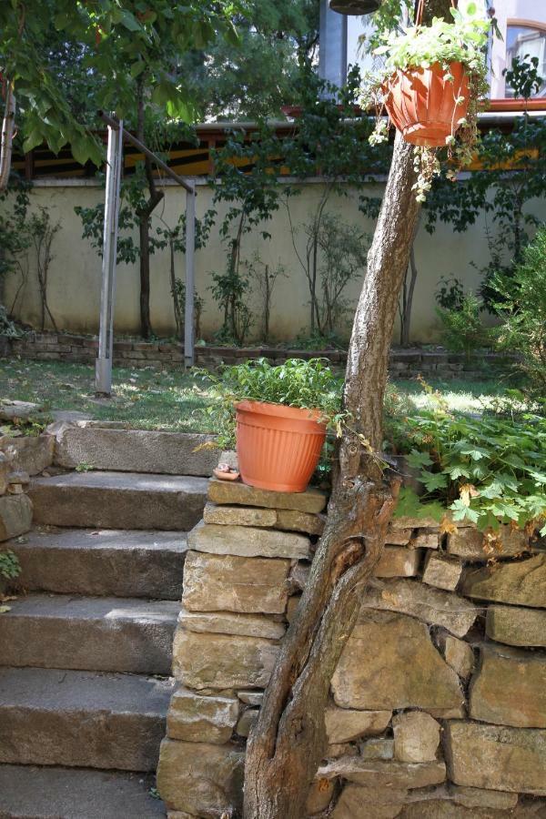 Charming Central Home With Garden Near Parking And Ndk ソフィア エクステリア 写真
